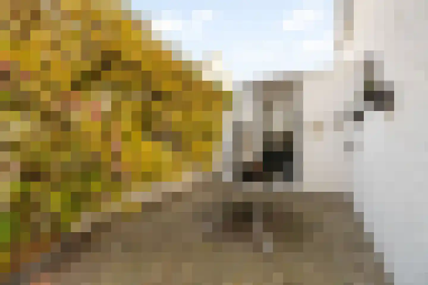 Offemweg 4 Noordwijk thumbnail 12