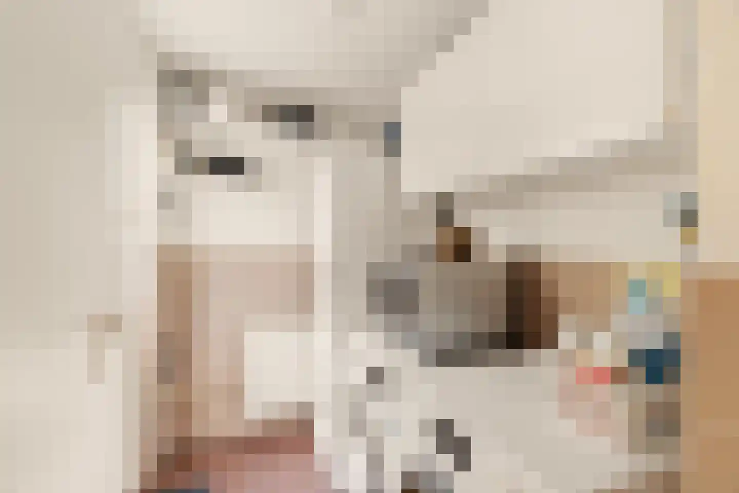 Offemweg 4 Noordwijk thumbnail 18