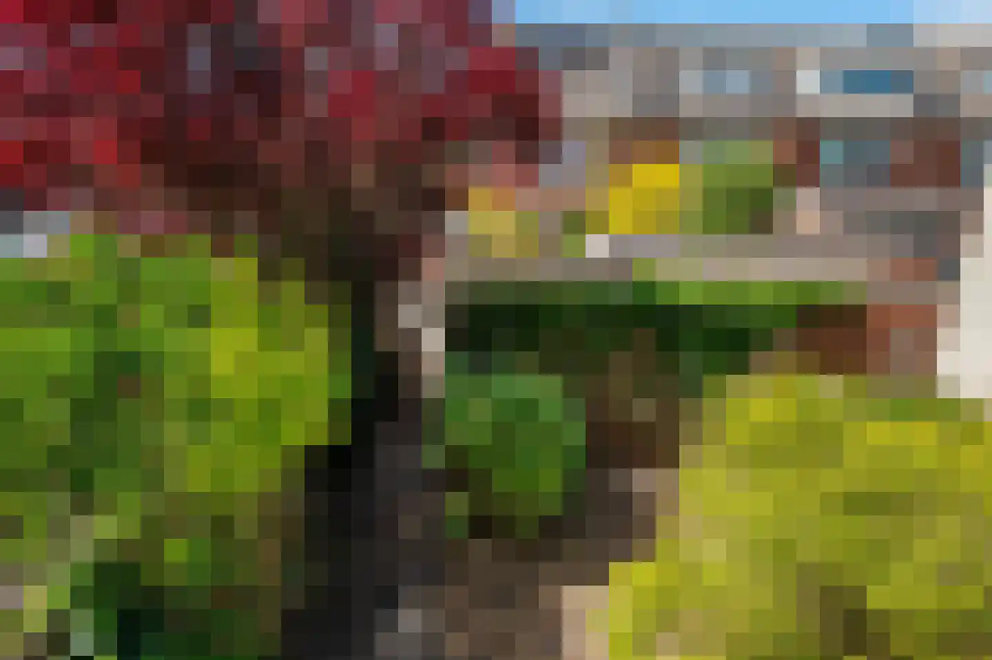 Offemweg 44 B Noordwijk thumbnail 23
