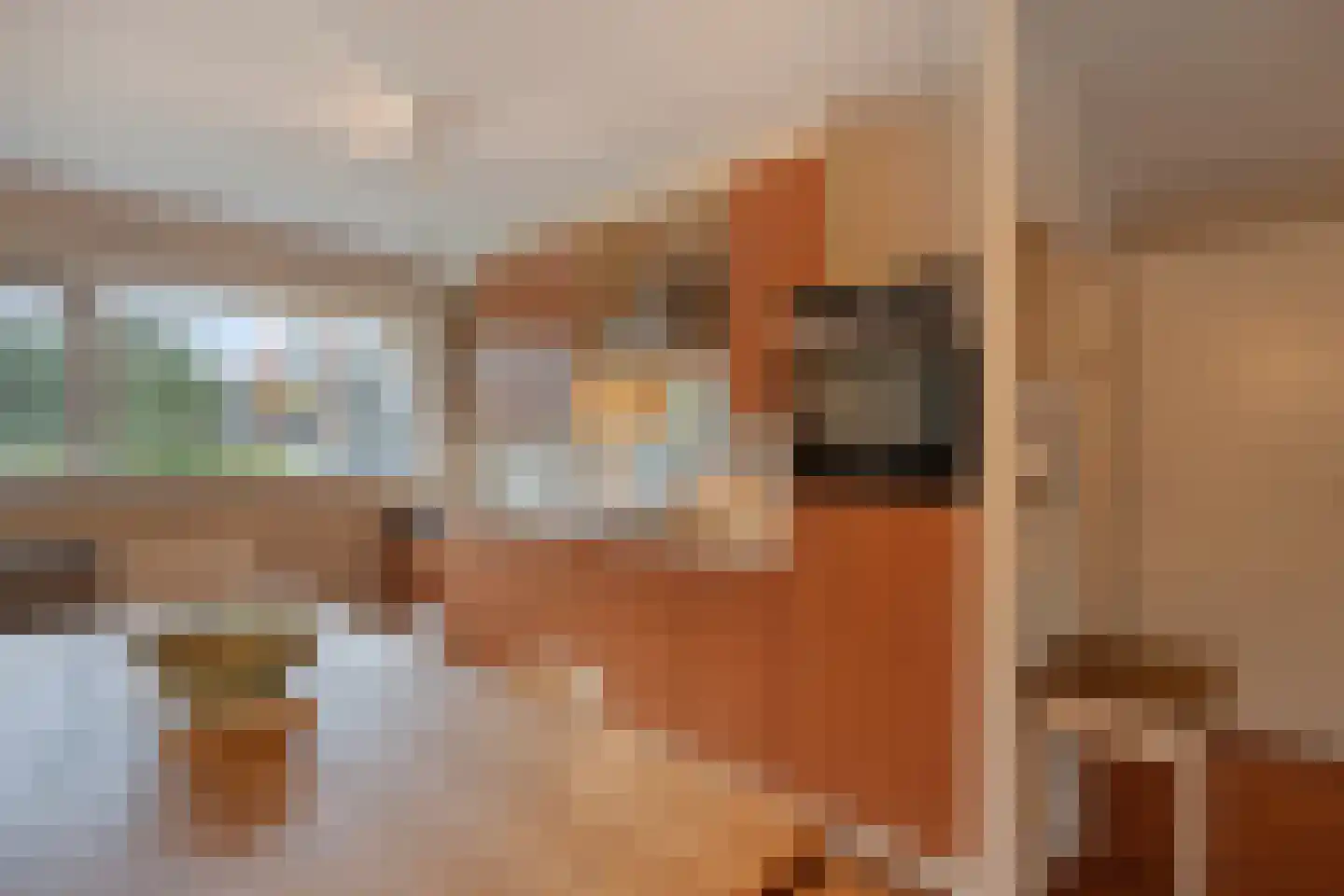 Offenbachlaan 1 A Eindhoven thumbnail 22