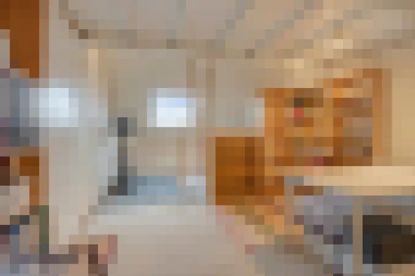 Offenbachlaan 1 A Eindhoven thumbnail 4