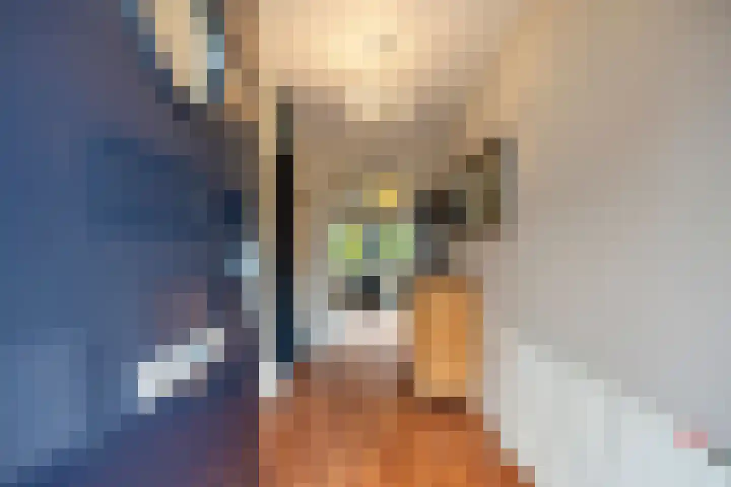 Offenbachlaan 1 A Eindhoven thumbnail 8