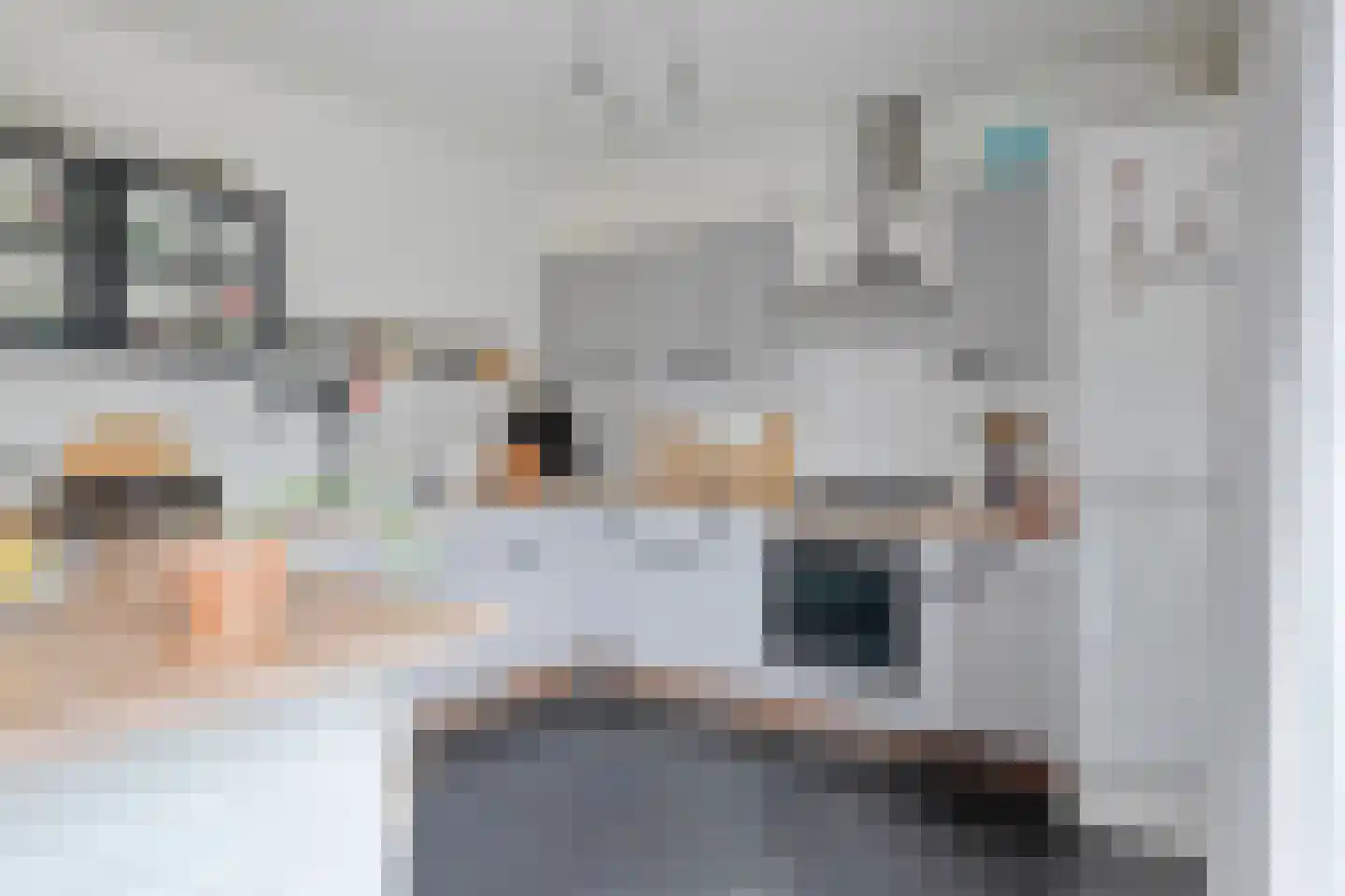 Offenbachlaan 21 Vlissingen thumbnail 11