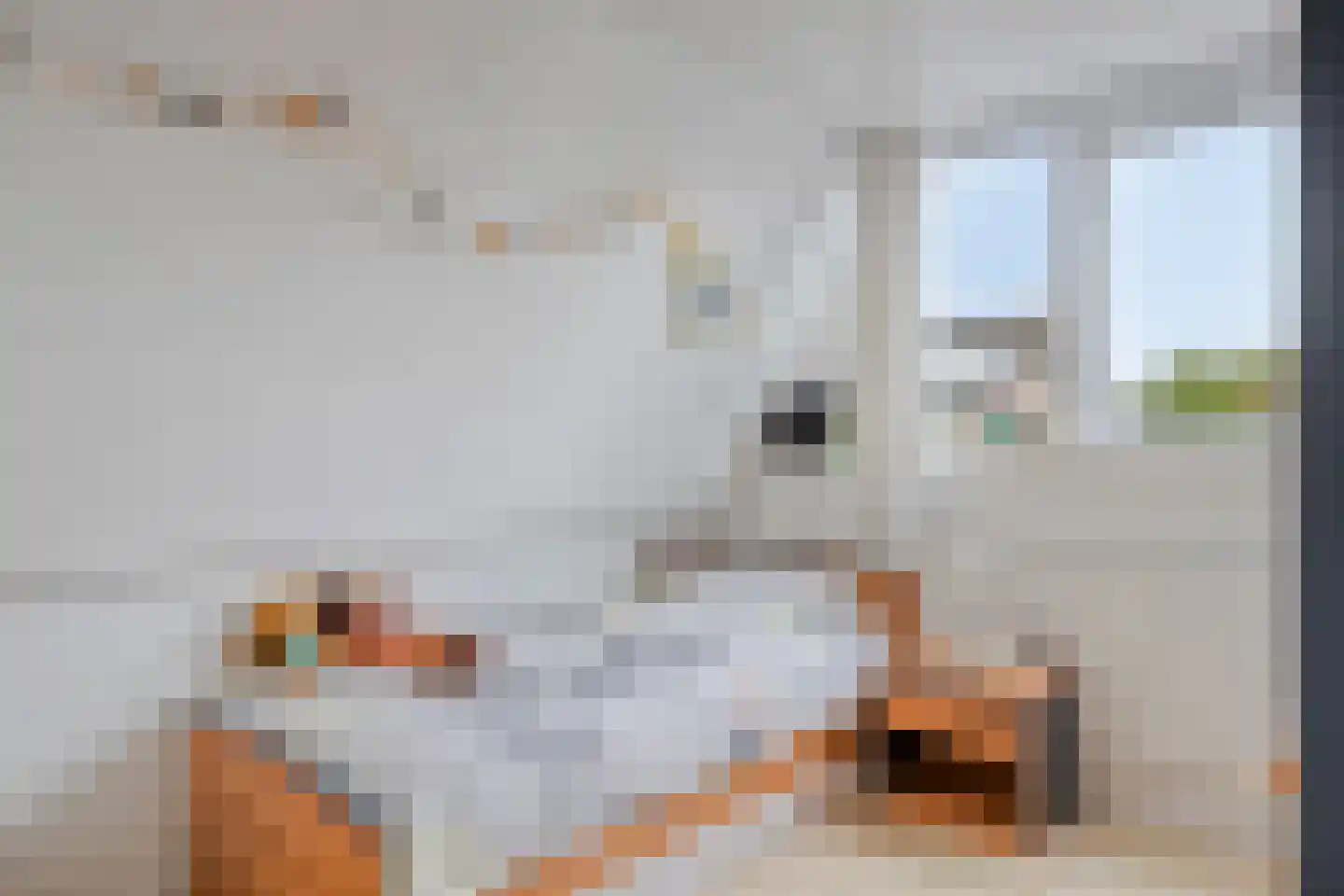 Offenbachlaan 21 Vlissingen thumbnail 18