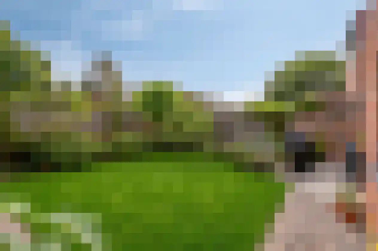 Offenbachlaan 21 Vlissingen thumbnail 21