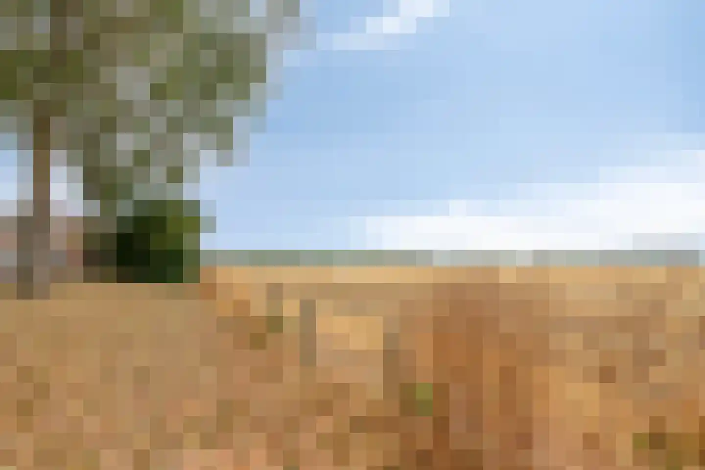 Offenbachlaan 21 Vlissingen thumbnail 27
