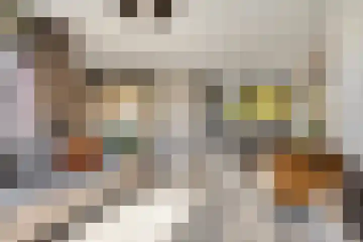 Offenbachlaan 35 Vlissingen thumbnail 12