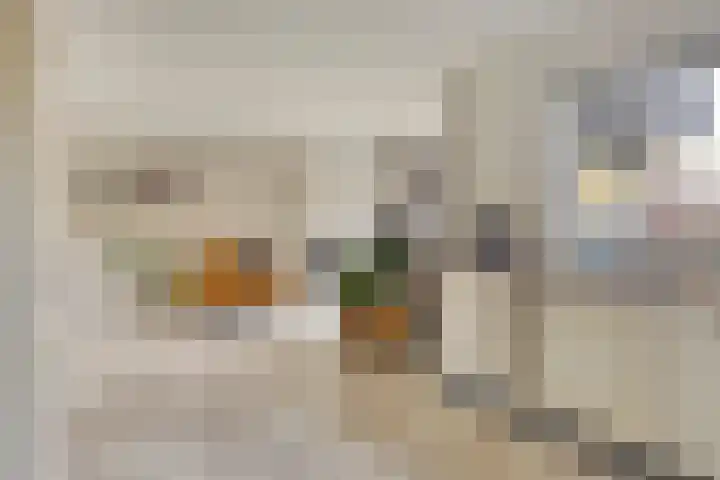 Offenbachlaan 35 Vlissingen thumbnail 15