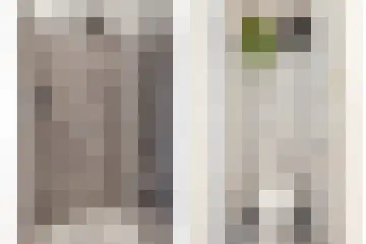 Offenbachlaan 35 Vlissingen thumbnail 31
