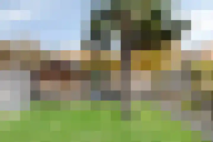 Offenbachlaan 35 Vlissingen thumbnail 39