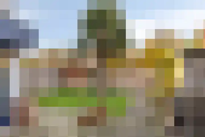 Offenbachlaan 35 Vlissingen thumbnail 4