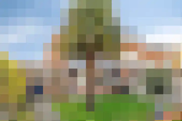 Offenbachlaan 35 Vlissingen thumbnail 40