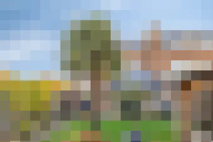 Offenbachlaan 35 Vlissingen thumbnail 41