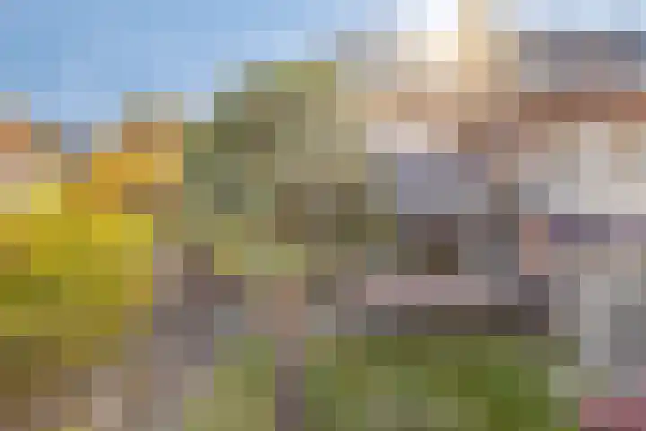 Offenbachlaan 35 Vlissingen thumbnail 42