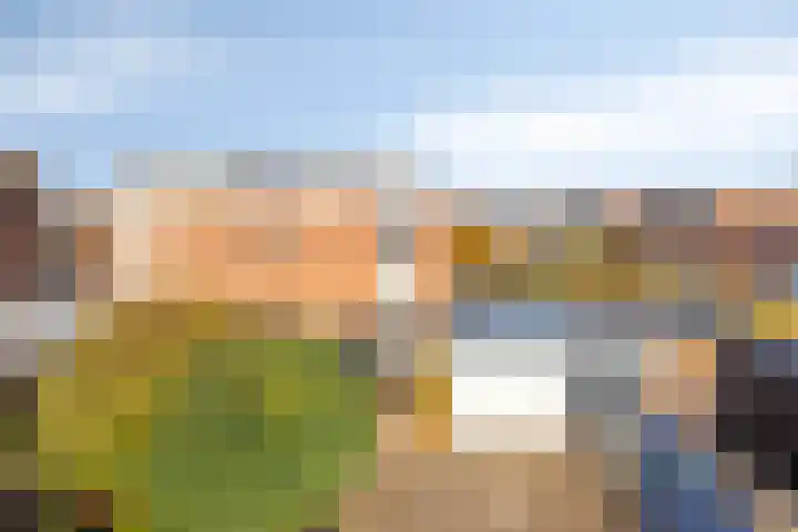 Offenbachlaan 35 Vlissingen thumbnail 43