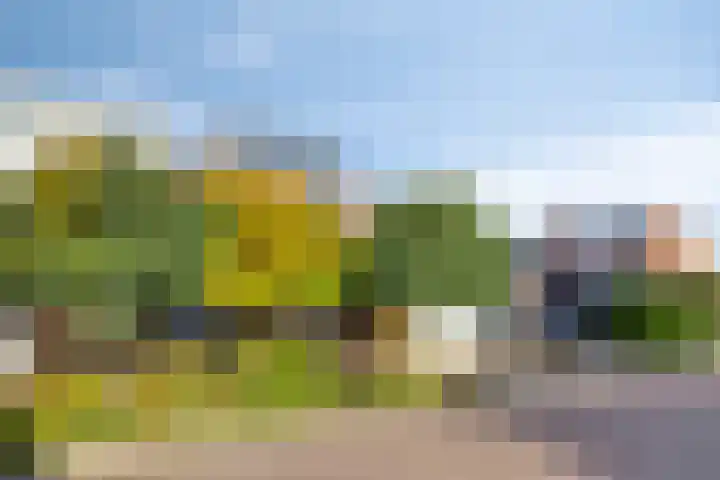 Offenbachlaan 35 Vlissingen thumbnail 44