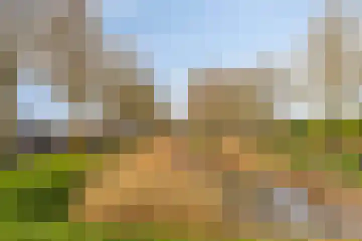 Offenbachlaan 35 Vlissingen thumbnail 46