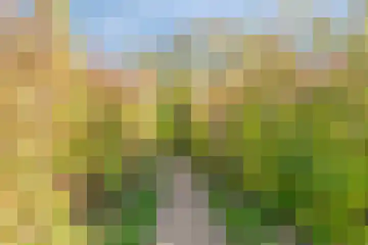 Offenbachlaan 35 Vlissingen thumbnail 48