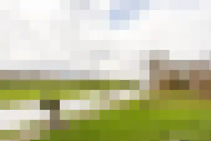 Offenbachlaan 40 Heemstede thumbnail 10