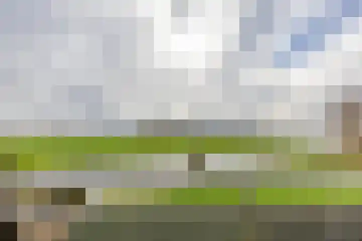 Offenbachlaan 40 Heemstede thumbnail 11