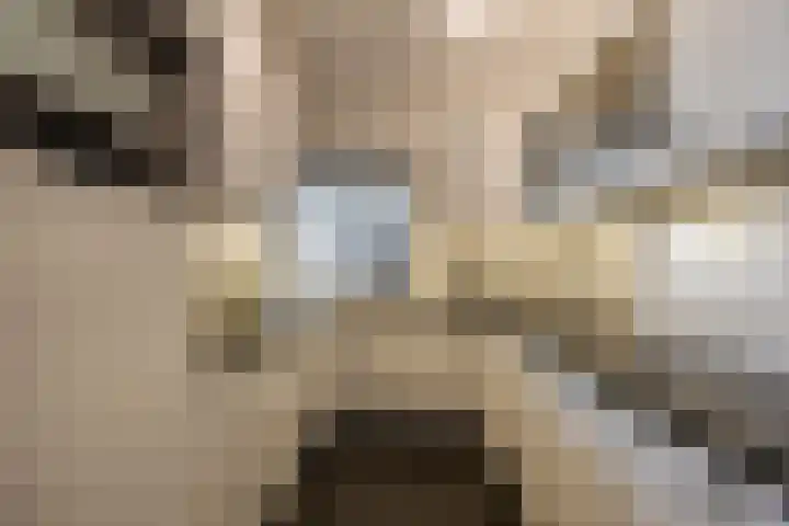 Offenbachlaan 40 Heemstede thumbnail 5