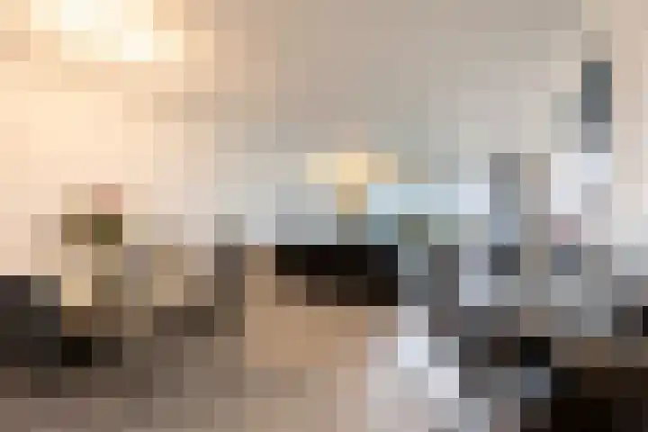 Offenbachlaan 40 Heemstede thumbnail 6