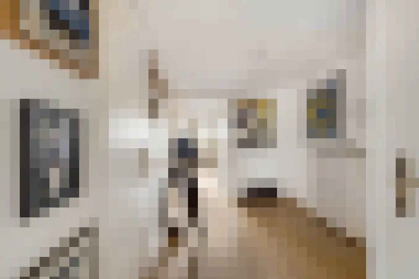 Offenbachlaan 65 Heemstede thumbnail 17