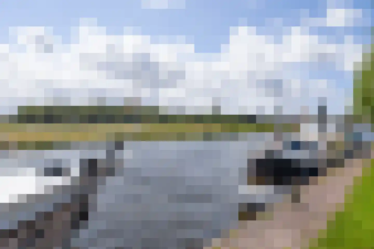 Offenbachlaan 65 Heemstede thumbnail 32