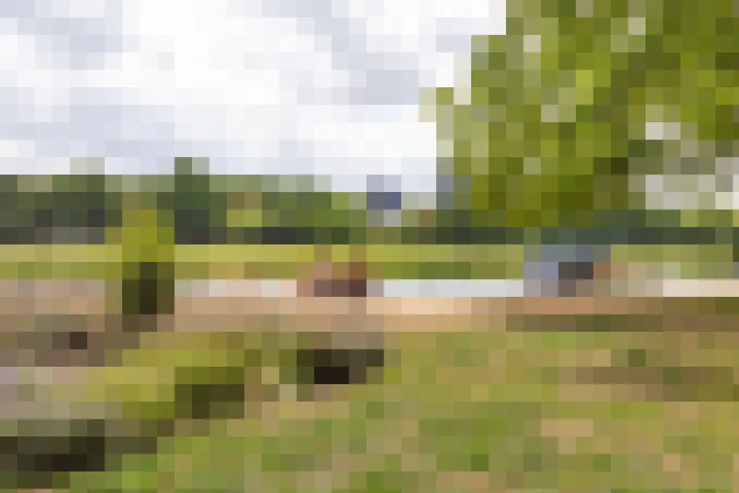 Offenbachlaan 65 Heemstede thumbnail 34