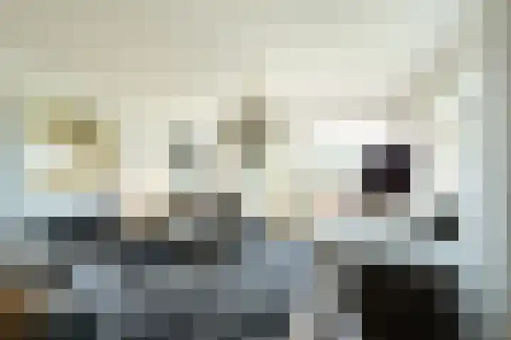 Offenbachlaan 67 Heemstede thumbnail 17
