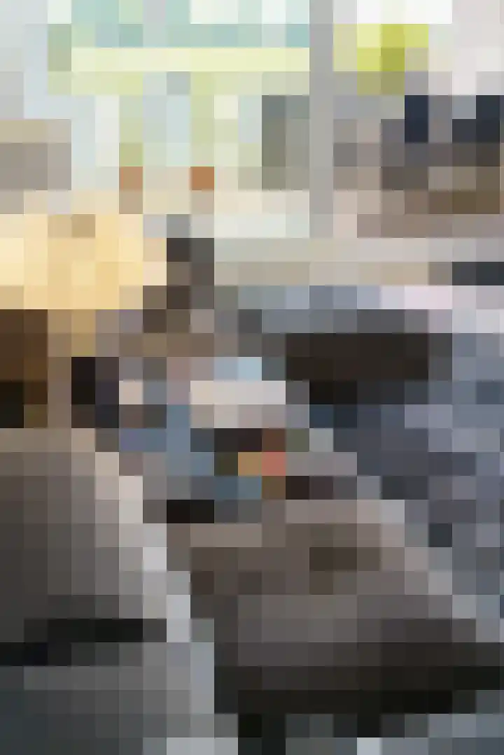 Offenbachlaan 67 Heemstede thumbnail 20
