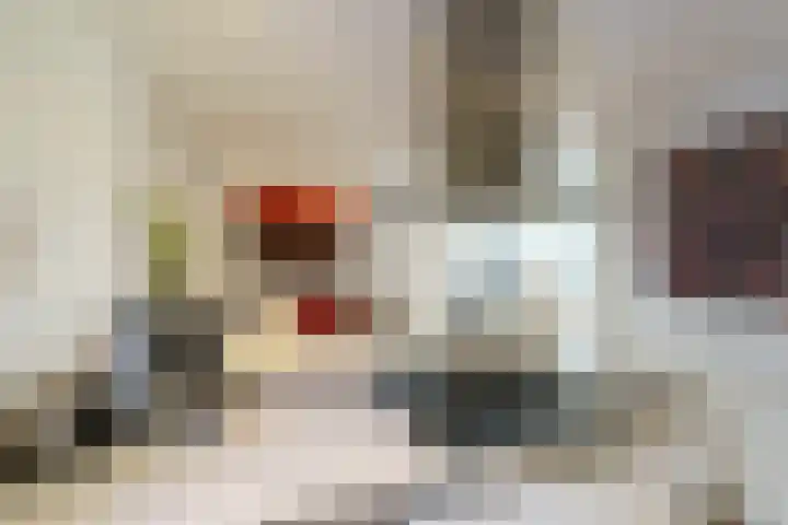 Offenbachlaan 67 Heemstede thumbnail 23
