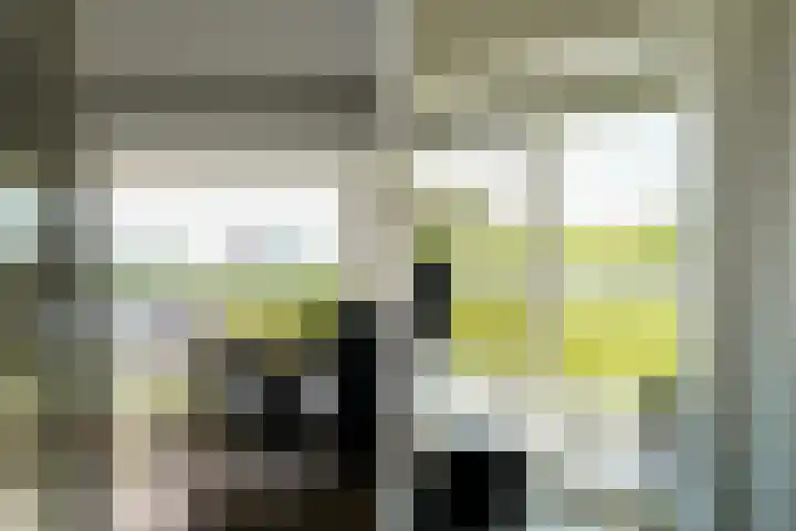 Offenbachlaan 67 Heemstede thumbnail 27