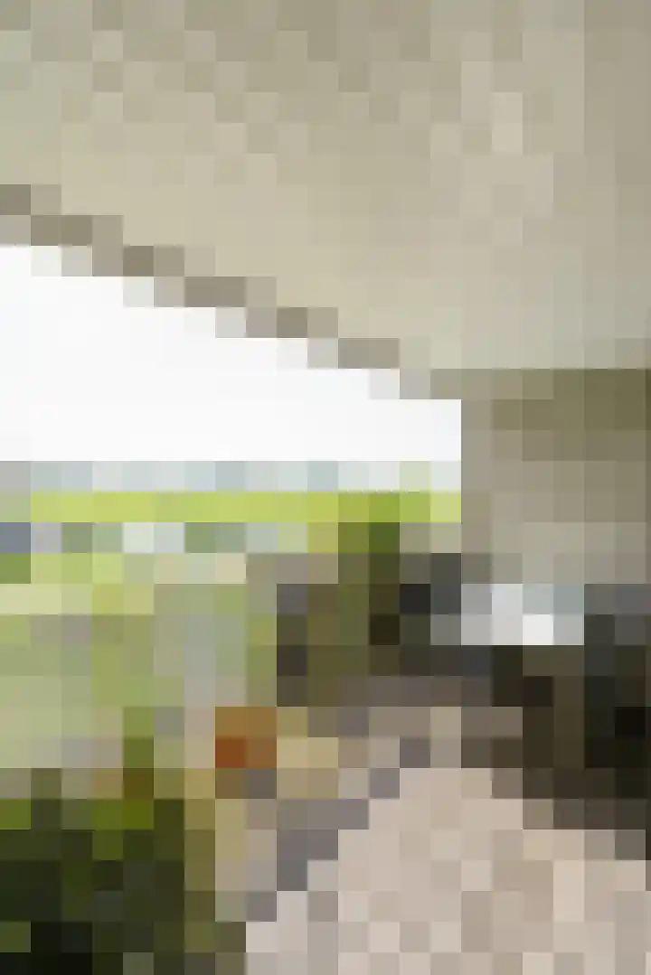 Offenbachlaan 67 Heemstede thumbnail 28