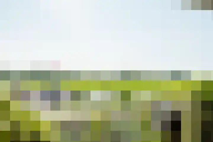 Offenbachlaan 67 Heemstede thumbnail 29
