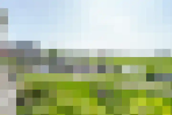 Offenbachlaan 67 Heemstede thumbnail 30