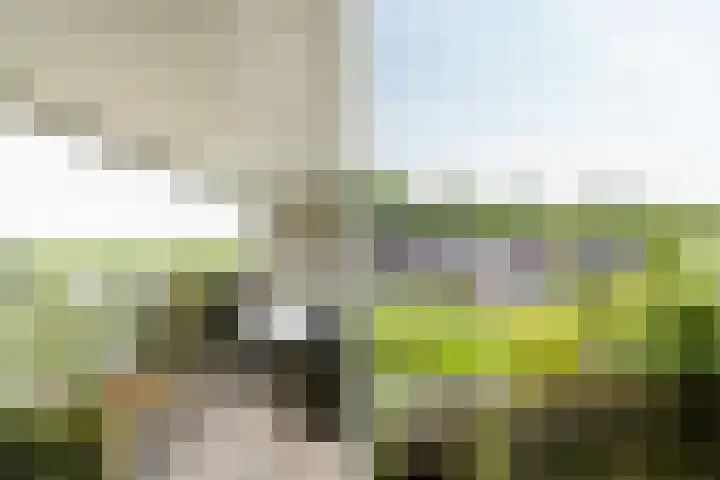 Offenbachlaan 67 Heemstede thumbnail 32