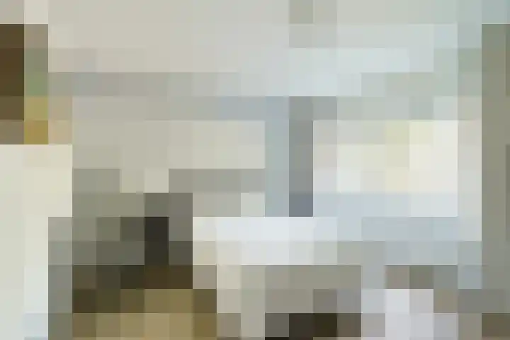 Offenbachlaan 67 Heemstede thumbnail 34
