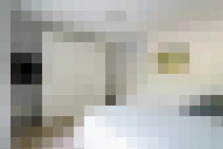 Offenbachlaan 67 Heemstede thumbnail 35