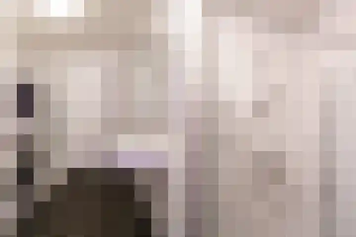 Offenbachlaan 67 Heemstede thumbnail 39