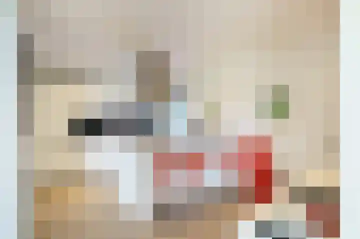 Offenbachlaan 67 Heemstede thumbnail 5