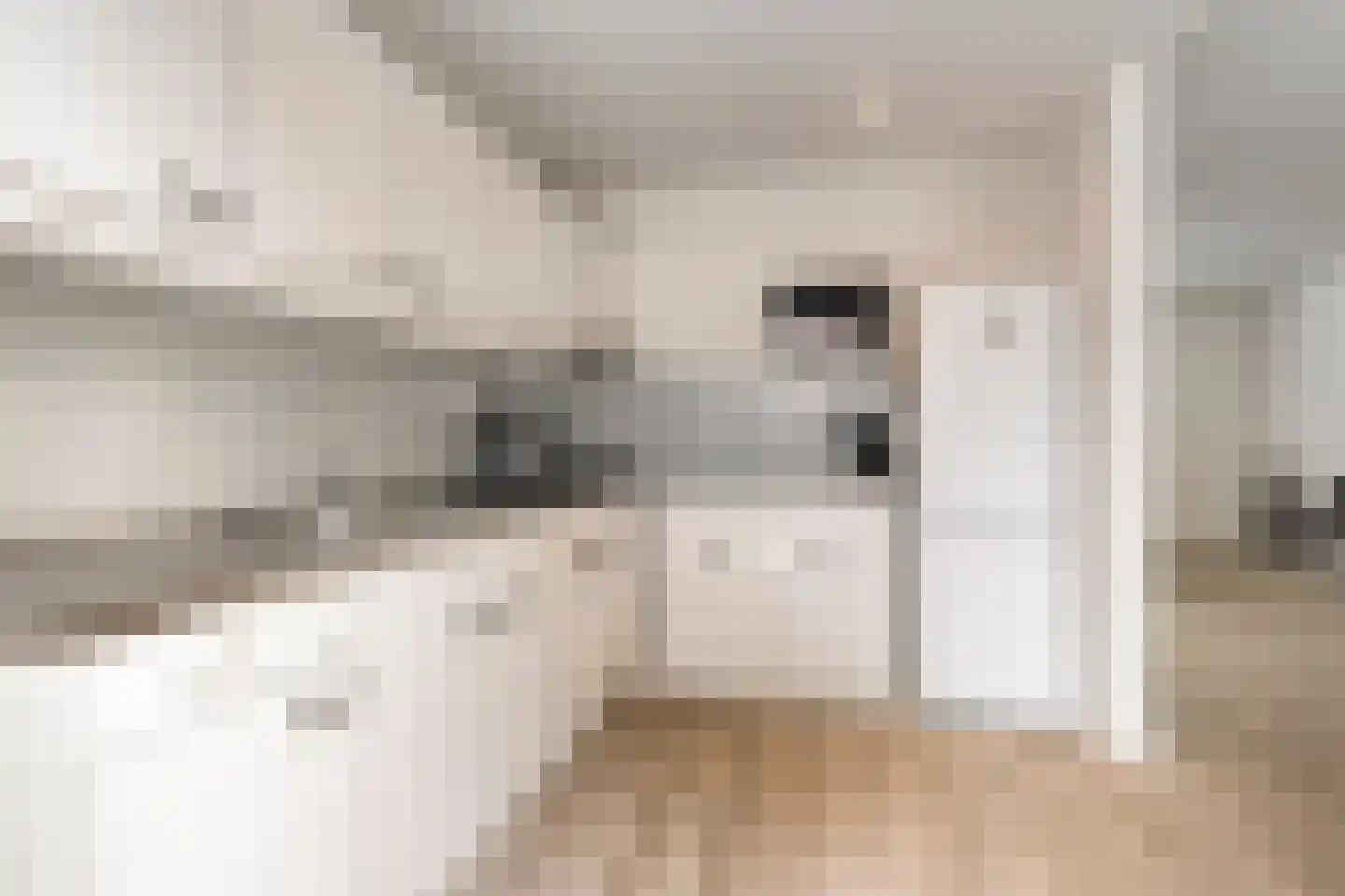 Offenbachlaan 696 Eindhoven thumbnail 11