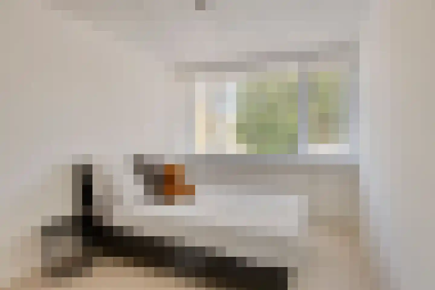 Offenbachlaan 696 Eindhoven thumbnail 18