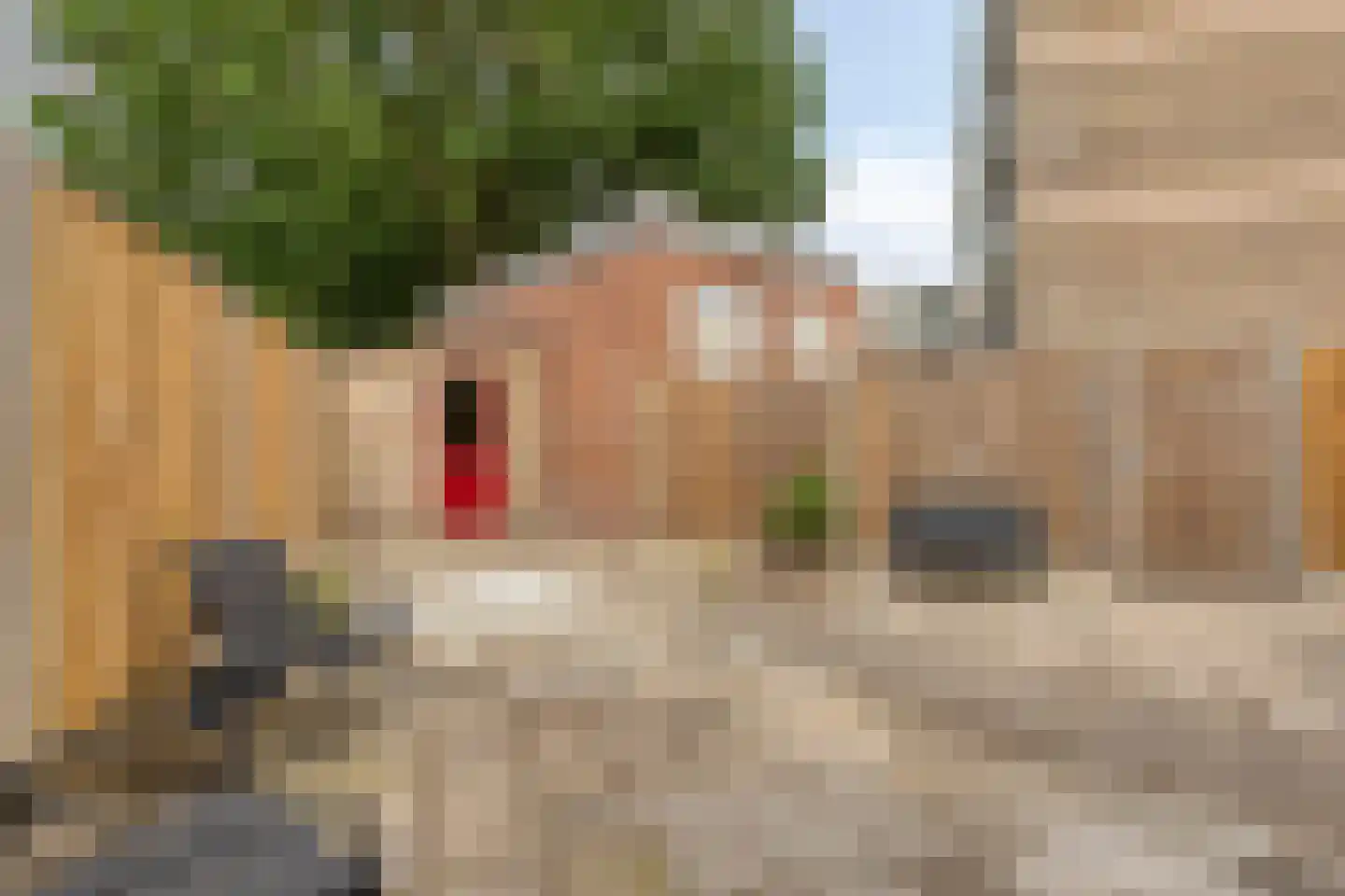 Offenbachlaan 696 Eindhoven thumbnail 29