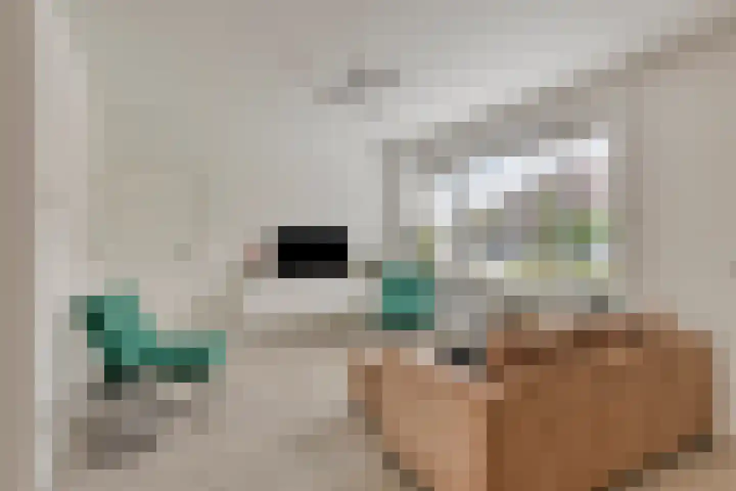 Offenbachlaan 696 Eindhoven thumbnail 7