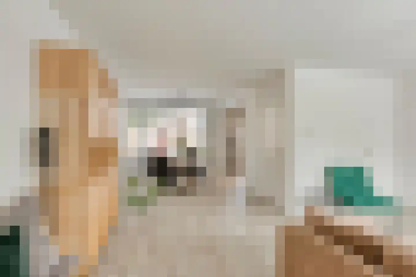 Offenbachlaan 696 Eindhoven thumbnail 8