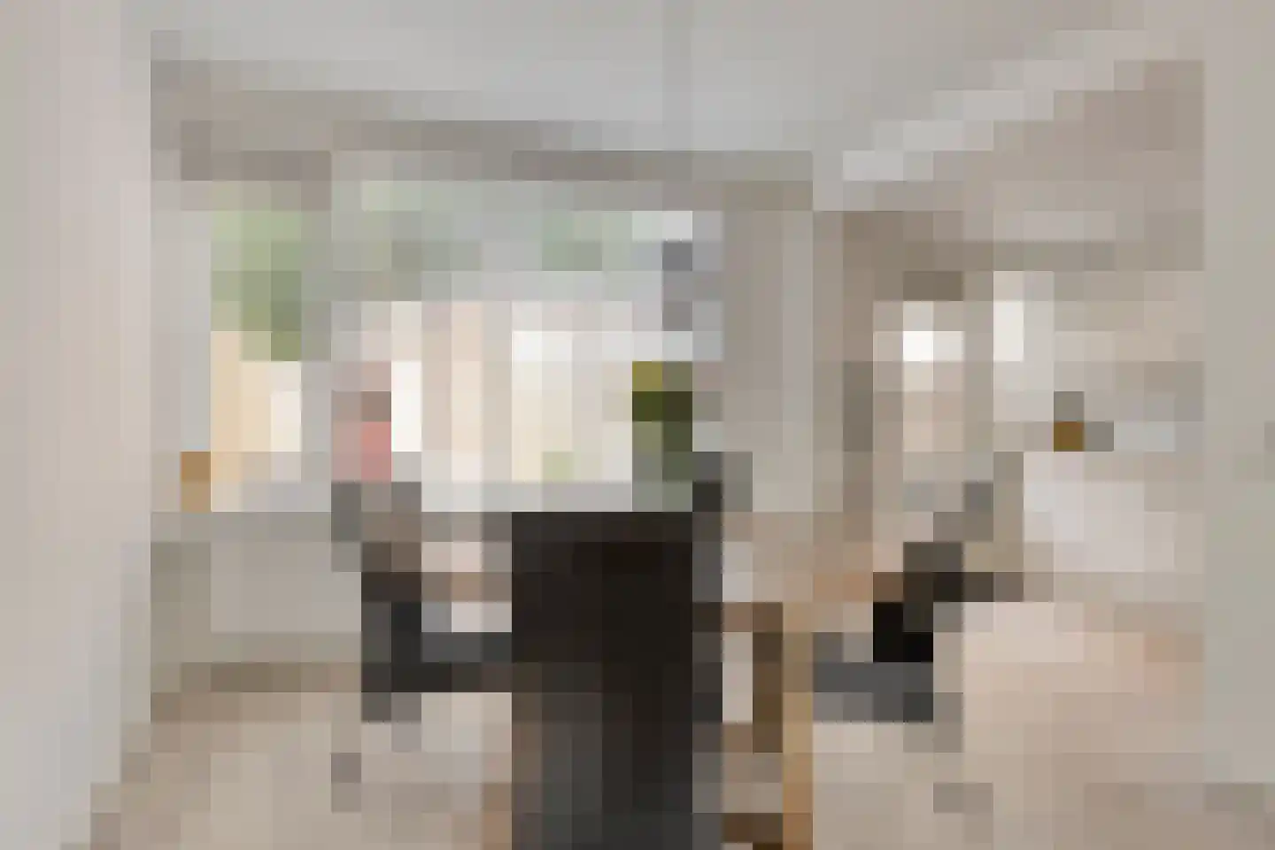 Offenbachlaan 696 Eindhoven thumbnail 9