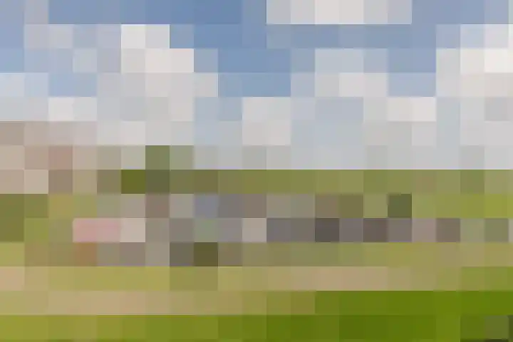 Offenbachlaan 89 Heemstede thumbnail 14