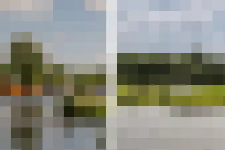 Offenbachlaan 89 Heemstede thumbnail 32