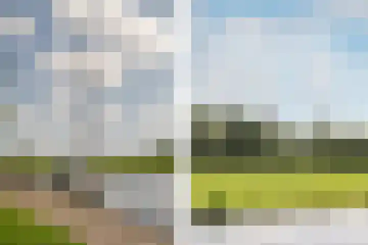 Offenbachlaan 89 Heemstede thumbnail 33